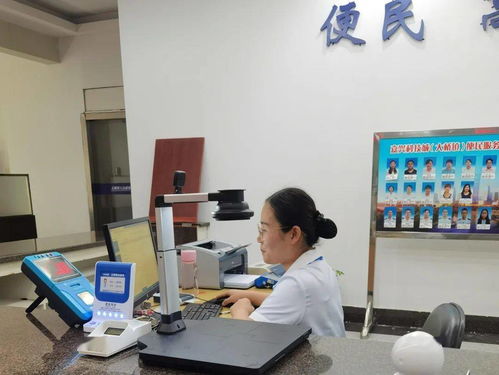 嘉興科技城大橋鎮(zhèn)便民服務(wù)中心公用事業(yè)服務(wù)窗口正式啟用，提供全域通辦與信息技術(shù)咨詢服務(wù)