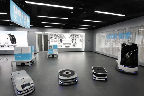 秉持實的態度增強干的力度跑出快的速度——以高質量信息技術咨詢服務項目支撐高質量發展